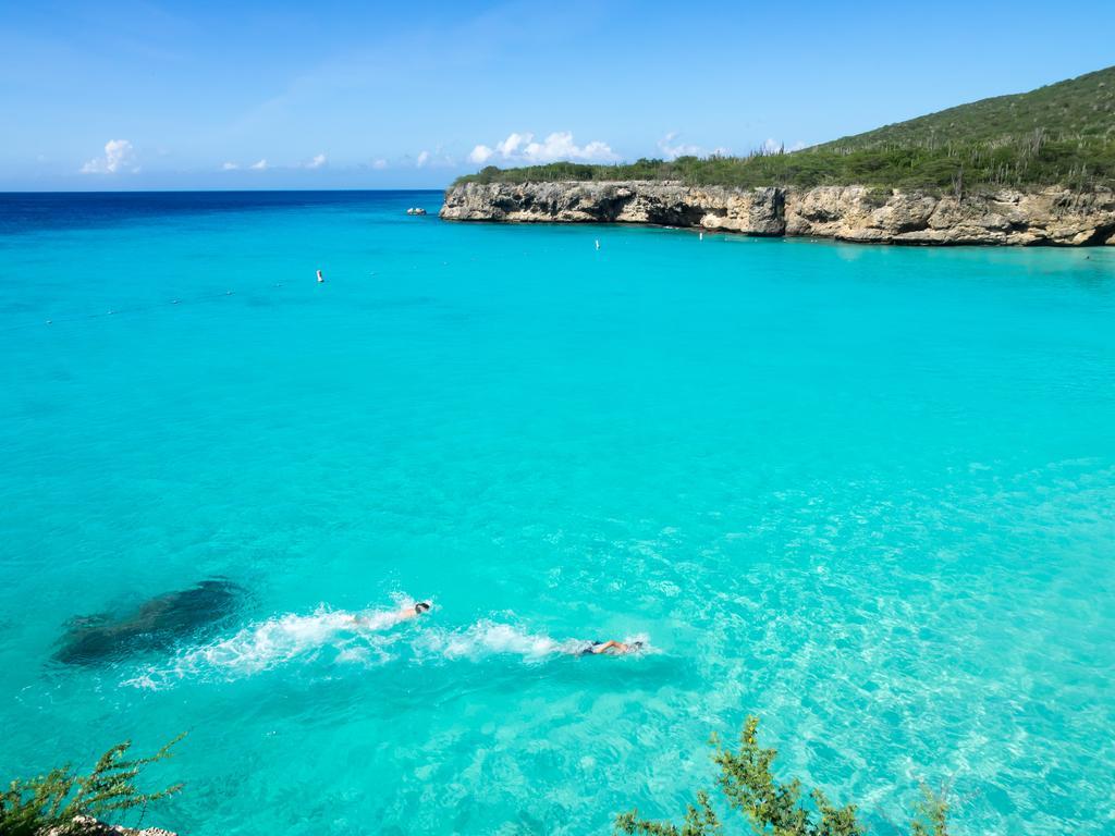 Dormio Bonaire Village 部屋 写真
