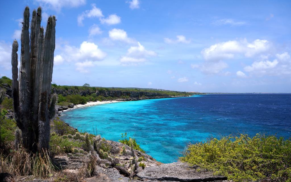 Dormio Bonaire Village 部屋 写真