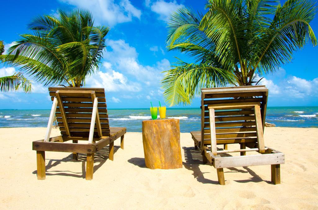 Dormio Bonaire Village 部屋 写真