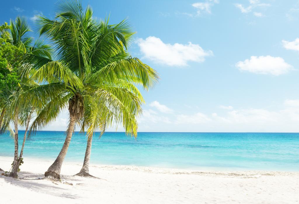Dormio Bonaire Village 部屋 写真